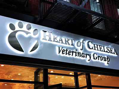 Heart of Chelsea Veterinary Group