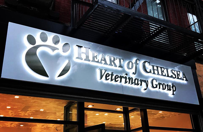 Heart of Chelsea Veterinary Group
